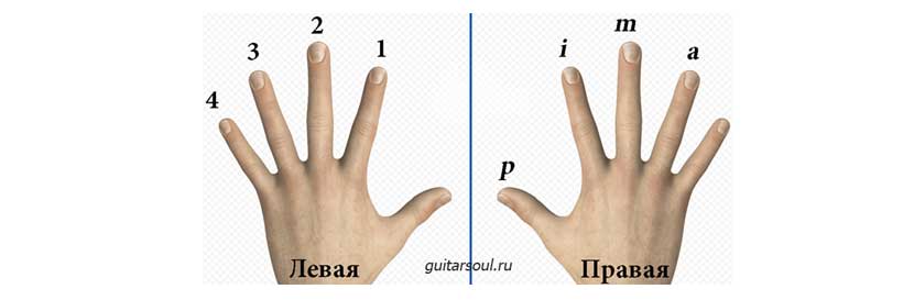 названия пальцев обеих рук